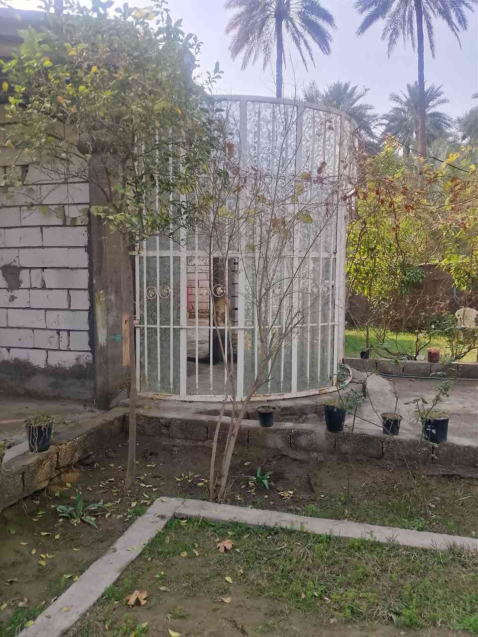 شباك دور حديد ثقيل طوله (6متر و10سم ) ارتفاعه (2متر و90سم) معروض للبيع


**إذا كنت صاحب هذا الإعلان وتريد حذفه لأي سبب، رجاءا أرسل رسالة إلى الدعم الفني**