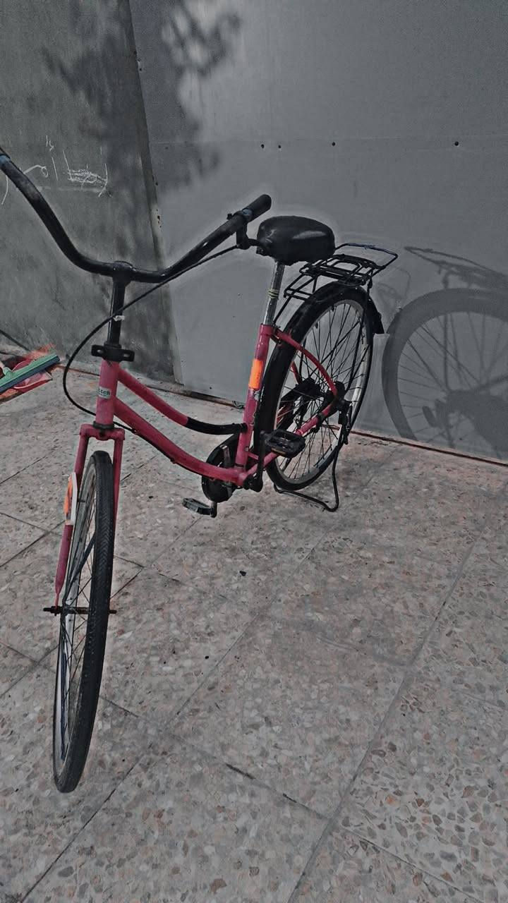 الباسكل لبيع حجم 26سعر 40 متوفر واتساب 0787285334


**إذا كنت صاحب هذا الإعلان وتريد حذفه لأي سبب، رجاءا أرسل رسالة إلى الدعم الفني**