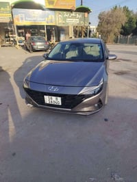 النترا 2023 • وارد امريكي • كشنات جلد