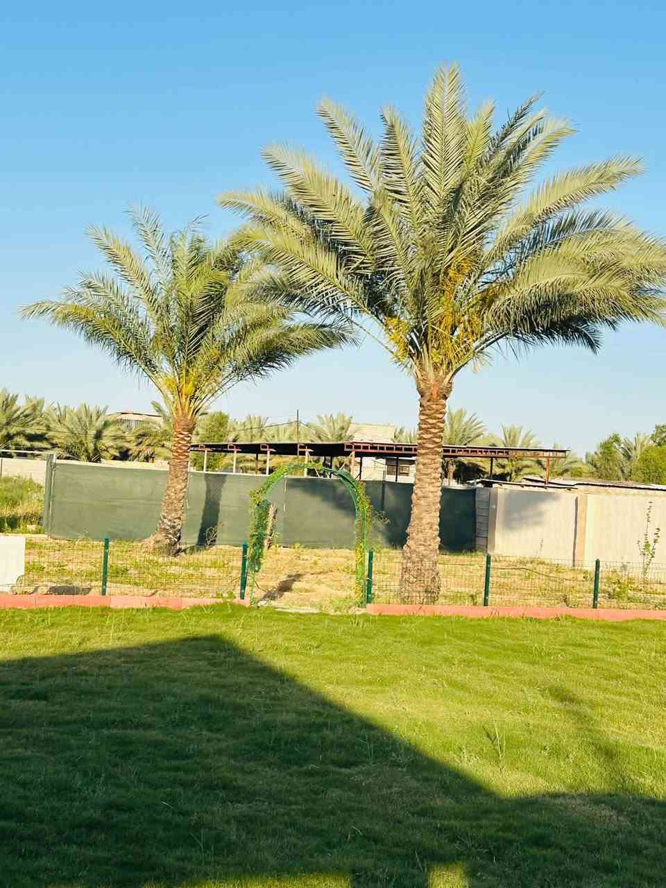 مزرعة الريف للحجز ***********
