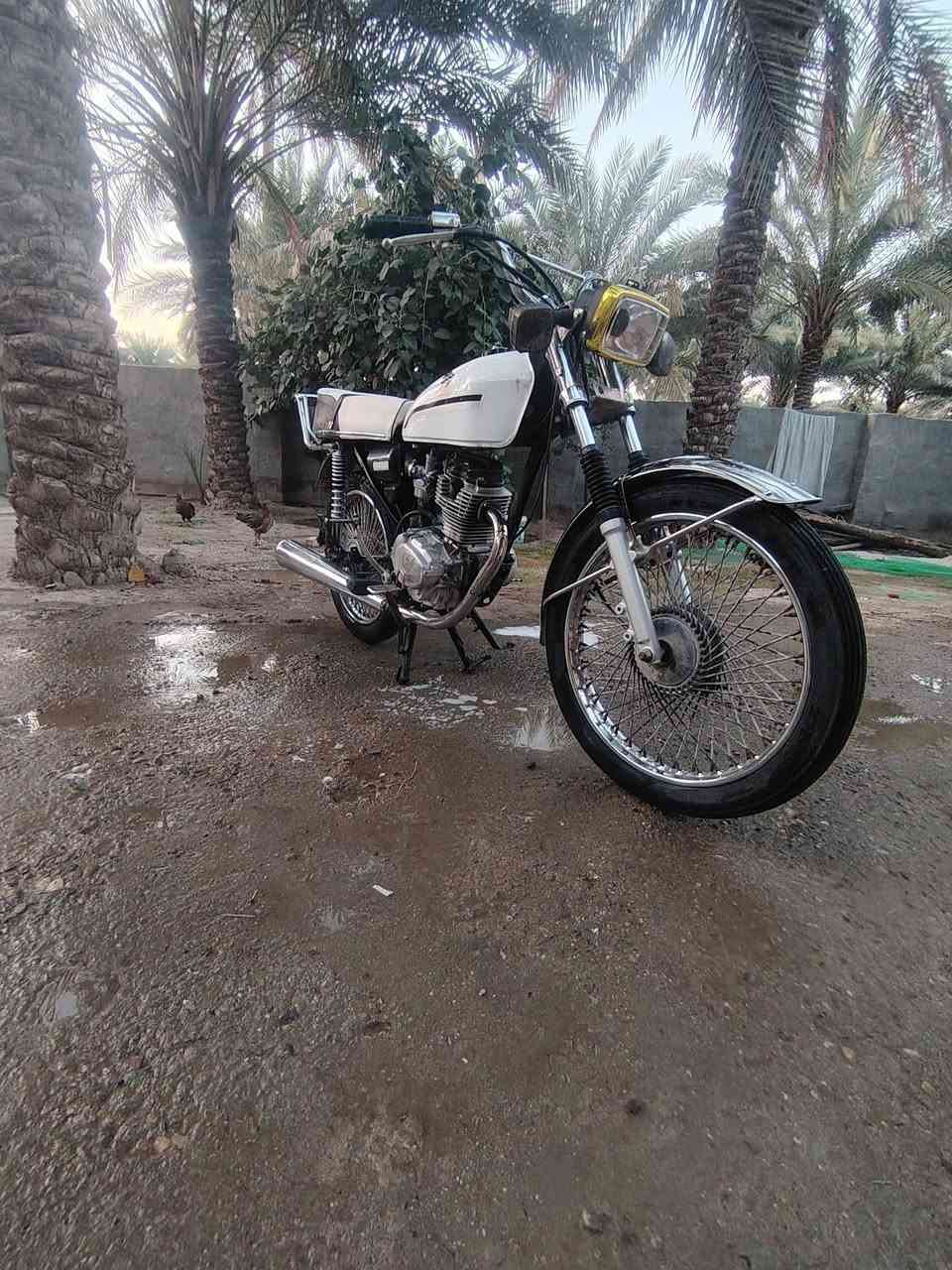 السلام عليكم دراجه تايكر 2019للبيع اوراق اصولي السعر 450وبيها مجال للشرايه مكاني. بابل القاسم


**إذا كنت صاحب هذا الإعلان وتريد حذفه لأي سبب، رجاءا أرسل رسالة إلى الدعم الفني**