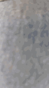 السلام عليكم
نامه شلامجه تعمير 25مكفوله شاصي ارشه 2006ام قصر اوراق اصولي دراجه خير من الله مكفولة كفاله عامه السعر 550اوبيه مجال قليل الشراي يتصل أو يدخل خاص مكاني بابل الدبله ***********
