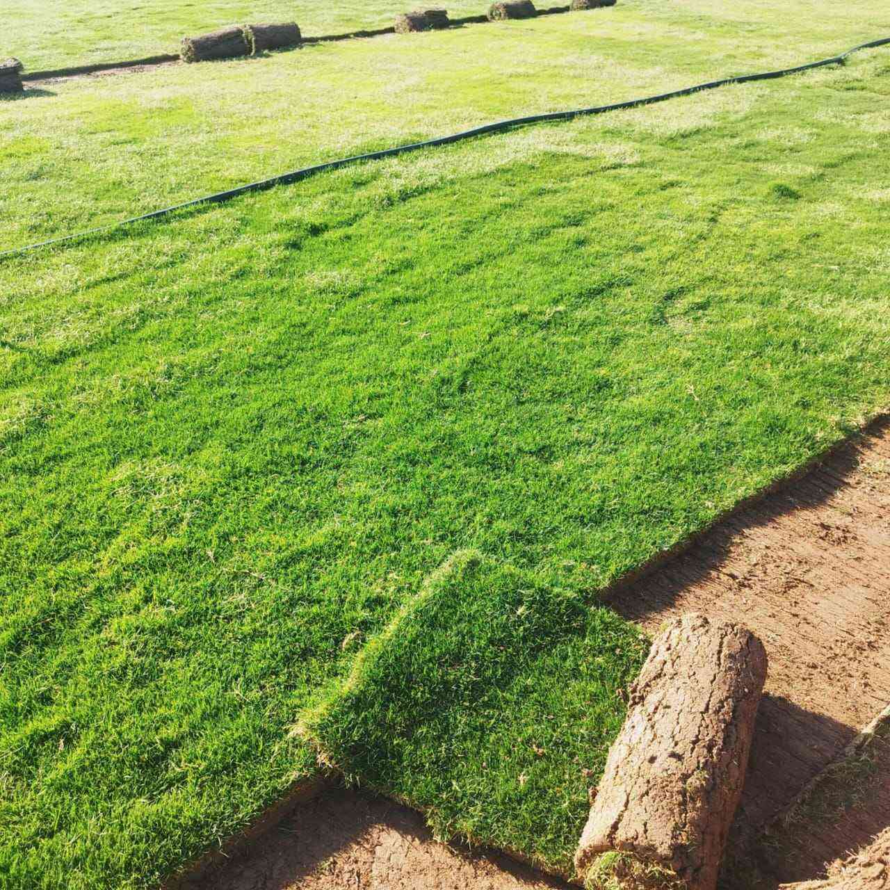 ثيل طبيعي سعر المتر 2000دينار التوصيل مجاني بغداد, العراق


**إذا كنت صاحب هذا الإعلان وتريد حذفه لأي سبب، رجاءا أرسل رسالة إلى الدعم الفني**