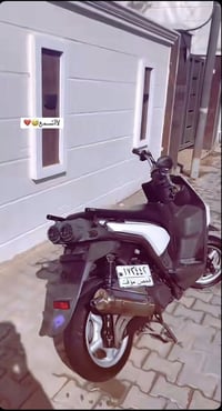 سكنس جبلي • ياباني • معدل