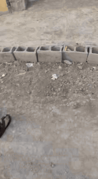 بيت 150 متر يحتوي علا غرفتين وصاله ومنور. واستقبال. العنوان حي البتول ...