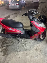 سكنس فحل للبيع الاتصال على الرقم 07715403631