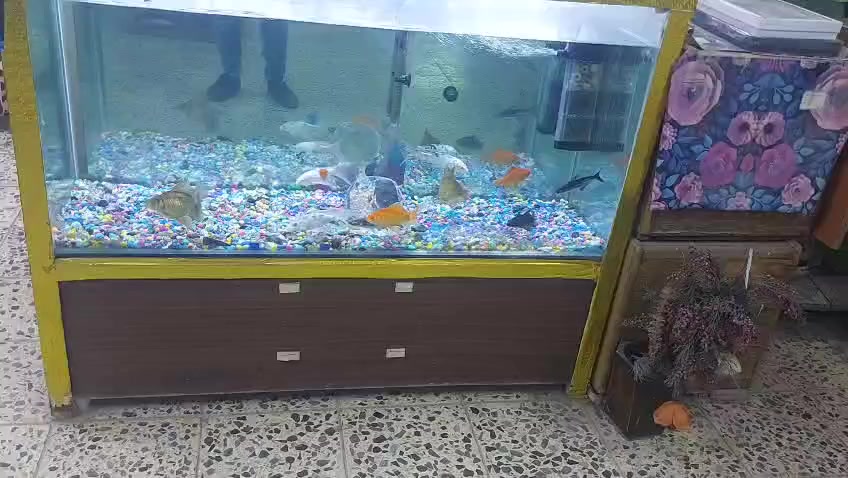 حوض سمك كبير للبيع السعر ٧٥


**إذا كنت صاحب هذا الإعلان وتريد حذفه لأي سبب، رجاءا أرسل رسالة إلى الدعم الفني**