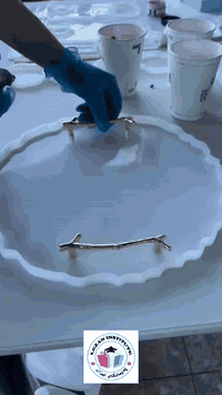 # کارســـــاز 
# بەهێزترین # خولــی #فێربوونی  # پیشەیی #ئــۆنڵاین

📢 بـــەژداری ٨ خــولی تۆمارکراو بکە تەنها بە 15 هەزار 

🔹خولی فێرکاری ئەکریلیک (دروستکردنی هەویری گوڵ)
 🔹خولی فێرکاری ڕایــــــزن     
 🔹خولی فێرکاری سیرامیک
 🔹خولی فێرکاری مـــــــــۆم     
🔹 خولی فێرکاری بــــــــخور    
🔹خولی فێرکاری کۆنکــرێت     
🔹خولی فێرکاری دیکۆر و دیزاین
🔹 خولی فێرکاری قالبی سلیکۆن    

♦زانـــــیاری دەربارەی خولەکانی کارساز

1-خـــولەکە ئــــــۆنلایـــــنە

2-ماوەی خولەکە ٢ مانگ

3-بەژداربوو بۆ ماوەی ١ ساڵ لە گرووپ لەگەڵمان ئەمێنێتەوە
4-سەرجەم وانەکان تۆمارکراوە لە گرووپی وانەکان دانراوە
5-بەژداربوو لەگەڵ ناو تۆمارکردن و واسڵ کردنی پارەکە ڕاستەوخۆ داخڵی گرووپی وانەکان ئەکرێ ڕۆژانە پەپێی مەجالی خۆی دەتوانێ سەیری وانەکان بکات

6-وانــــەکان لە ڕێگەی تێلیگرامەوە پێشکەش دەکرێ

7-بەژداربوو داخڵی ٨ گرووپی وانەکان ئەکرێ تەنها بە 15 هەزار دینار

8-لەکۆتایی خولەکە بڕوانامە دەبەخشرێتە بەژداربوان

9-گرێنتـــی ١٠٠٪ فــــــێربوون

بۆ بەشداری کردن دەتوانن سەردانی پەیمانگای لێزان بکەن بۆ ناوتۆمارکردن
قەڵادزێ - بەرامبەر باخی گشتی 

 یان پەیوەندی بکەن بەم ژمارانەی خوارەوە
*********** Fastpay
  
یان لەڕێگەی تێلیگرام نامە بنێرن
*********** Fastpay
