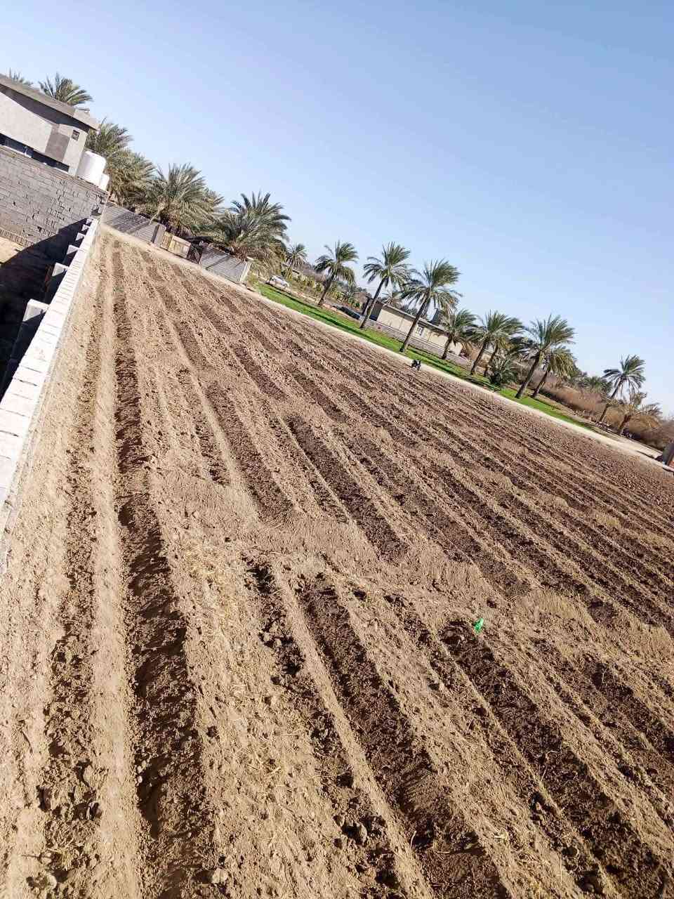 للبيع 

كاع أربعة دوانم ع نهر الفرات 
في الصقلاوية منطقة البعكاش 
استفسار اكثر اتصل ع الرقم 
***********
***********
