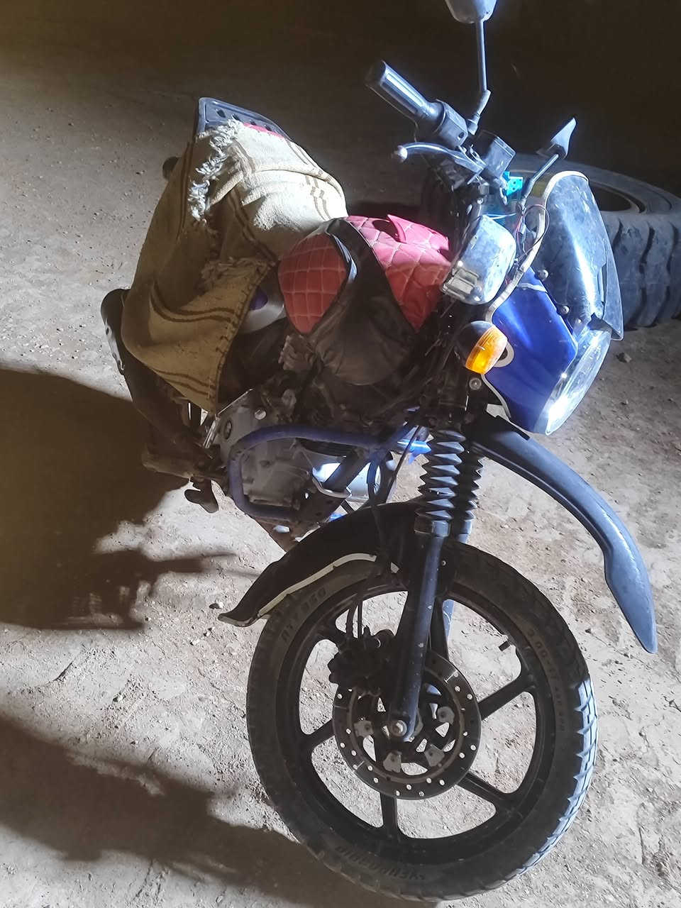 بوكسر موديل، 23 فحل اوراقه كامله اصولي لون ازرك السعر 1250 وبيه مجال
***********
متواجد عل نت وعل رقم
