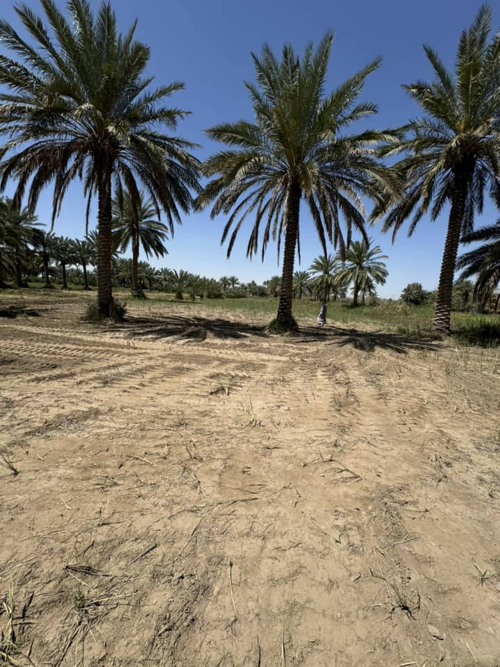 آرض لبيع المساحه ٣دونم طابو سند ٢٥ على نهر الفرات 
طريق العلماء قرب جسر الكفل 
الأستفسار ***********
