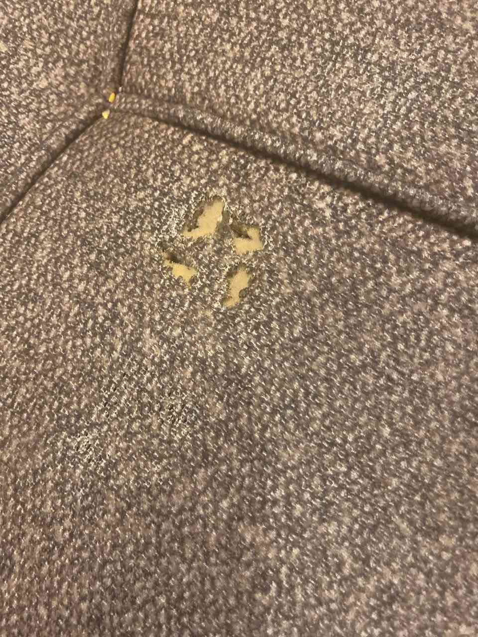 تخم ٧مقاعد تركي درجه اولى تكمه بي ظرر بسيط موجود بلصوره ب ٥٥٠وبي مجال مكاني السيديه


**إذا كنت صاحب هذا الإعلان وتريد حذفه لأي سبب، رجاءا أرسل رسالة إلى الدعم الفني**