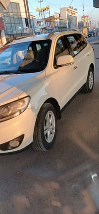 سنتافيا • ٢٠١١ • كربلاء