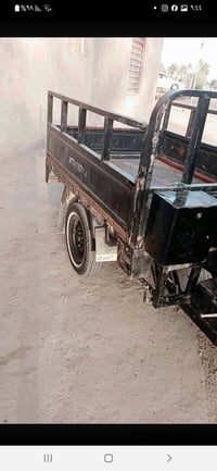 موديل 15 • أوراق صولي • كفالة عامة