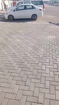 بارك صيني • نضيفه • ٢٠٢٢