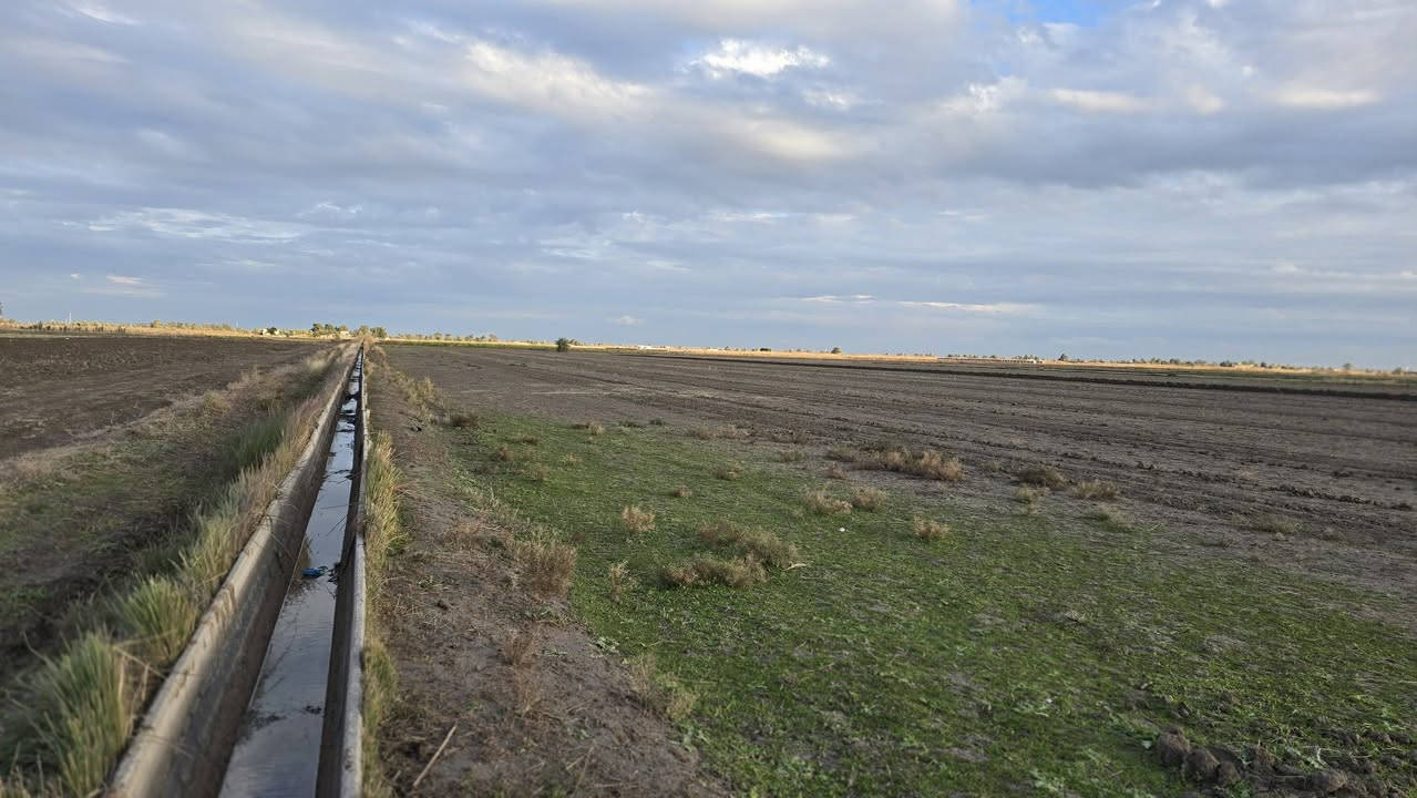 انته صحاب استثمار او تريد تترفه
وصلت عند الشخص الصح جايبلك 5 دوانم وتباع مفرد حسب الطلب موقعهه مرتب ومخدوم من كل النواحي ماء وكهرباء وصب اروائي ومزارع وخضار وسكن طابو سند 25 فتح بيان بأسم المشتري حق التصرف 
واجهية الدونم الواحد 40×60 مربع سعر الدونم الواحد 32 مليون وقابل للتفاوض 
العنوان بغداد التاجي ذراع دجله 
للأستفسار ***********
