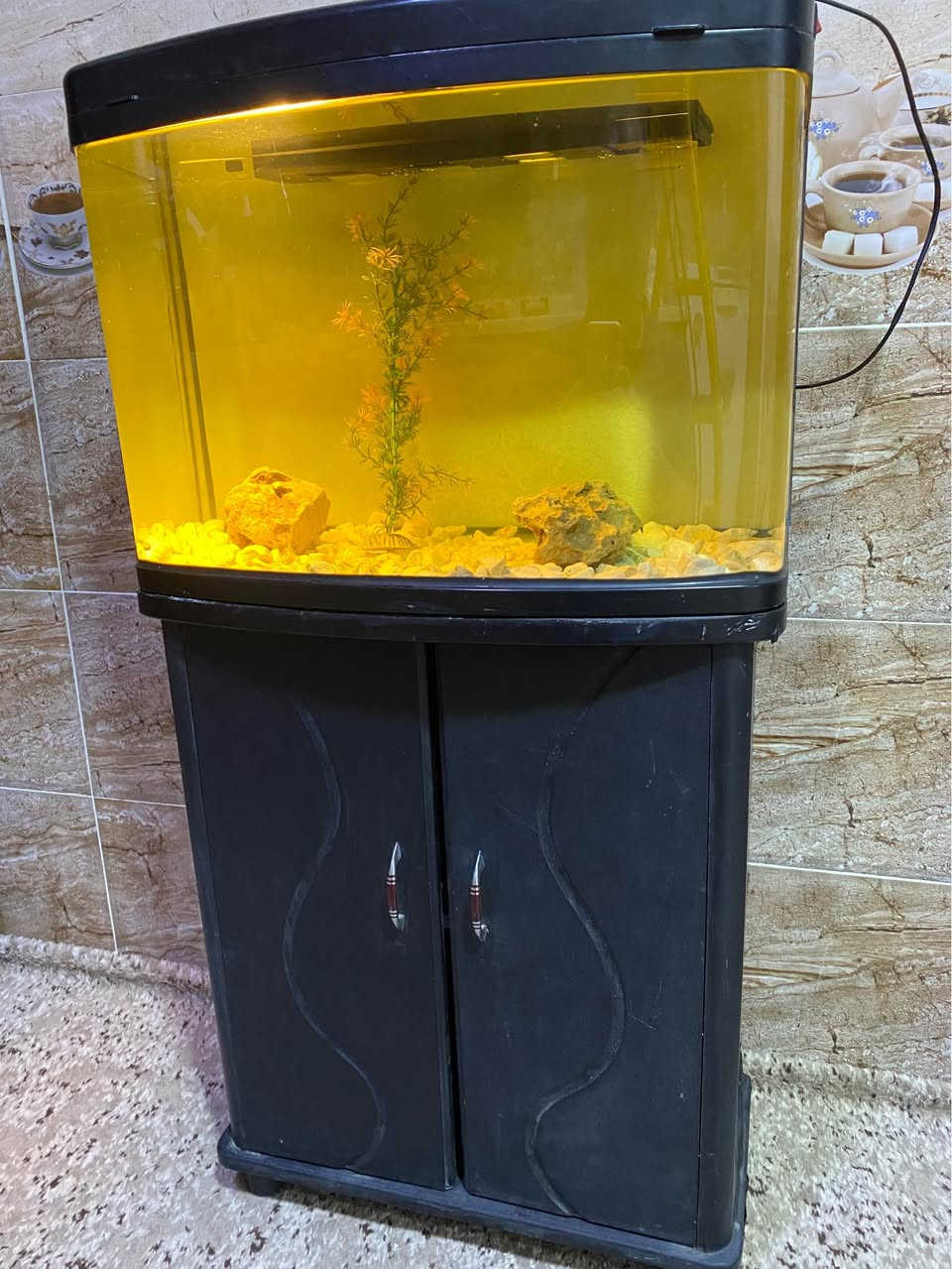 حةوزى ماسى قياسى ٦٠ سم بة ميزو دوو بةردى كةورة و بةردى بجوك و گيايةك بو فروشتن لة سليمانى السليمانية, العراق


**إذا كنت صاحب هذا الإعلان وتريد حذفه لأي سبب، رجاءا أرسل رسالة إلى الدعم الفني**