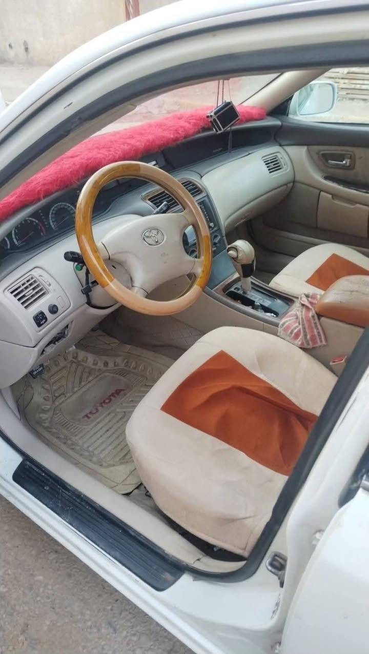 سياره افلون 2001 بأسمي مشروع وطني كير ومحرك مكفول تخم تاير وتبريد شغال شاشه مع كامره خلفيه السنويه لحد 2030
سياره افلون 2001 بأسمي مشروع وطني كير ومحرك مكفول تخم تاير وتبريد شغال شاشه مع كامره خلفيه السنويه لحد 2030

المكان العماره ميسان للاستفسار أكثر ع الماسنجر او الاتصال ع الرقم ***********

السعر 70 وبيهه مجال
