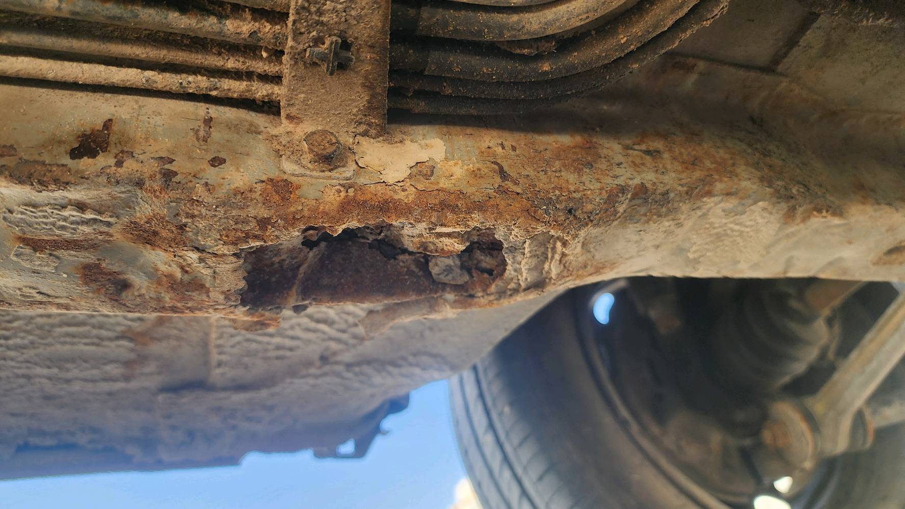 السماوه الوركاء البيضه