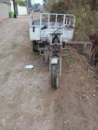 ستوته • ديالى بعقوبه