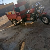 ستوته • ٢٠ • شاصي مكفول