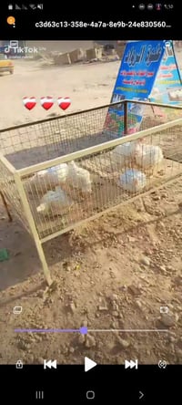 لسلام وعليكم اغراض علوه مخض للبيع ٣ميوزه +حوض سمك+قفص دجاج+ صلايه دجاد...