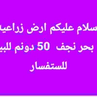 يم بحر نجف • ٥٠م • للبيع