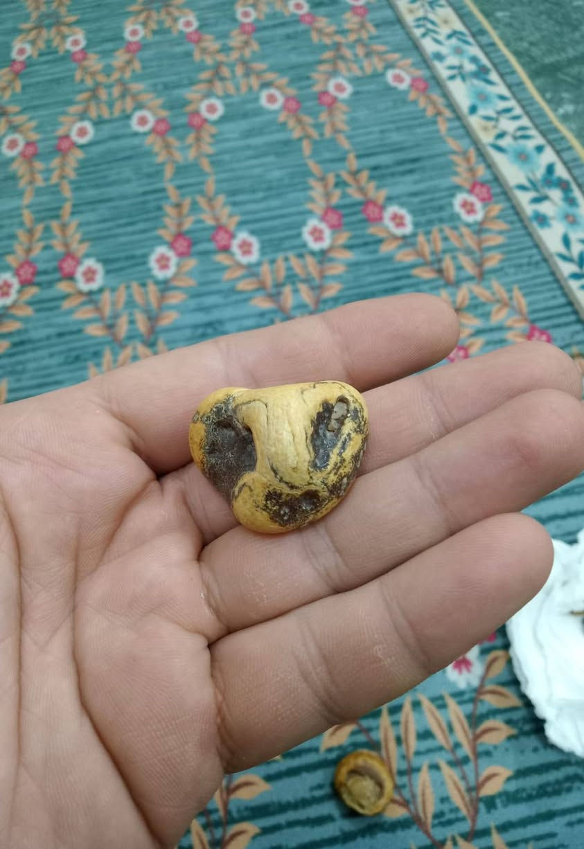 مراوس المحبس


**إذا كنت صاحب هذا الإعلان وتريد حذفه لأي سبب، رجاءا أرسل رسالة إلى الدعم الفني**
