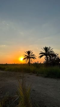 طويريج أم رواية • ٤ دونم • واجهة ٧٥م