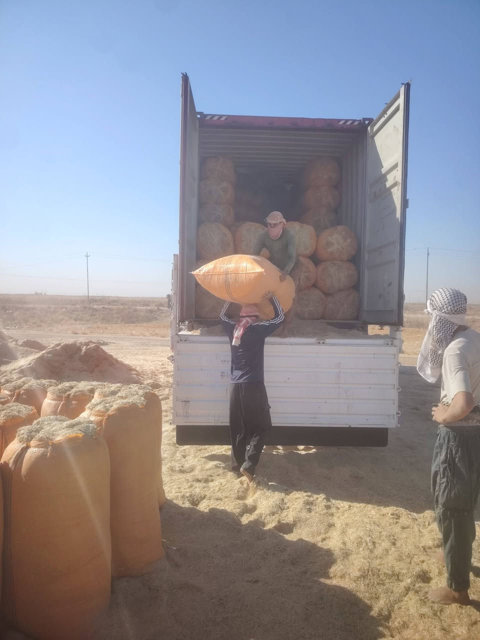 تبن درجة اولة توصيل للجميع المحافضات
جيس ابو ال ٩٠عرضة والطول ١٢٦
التواصل عل الأرقام التالية
***********
***********
