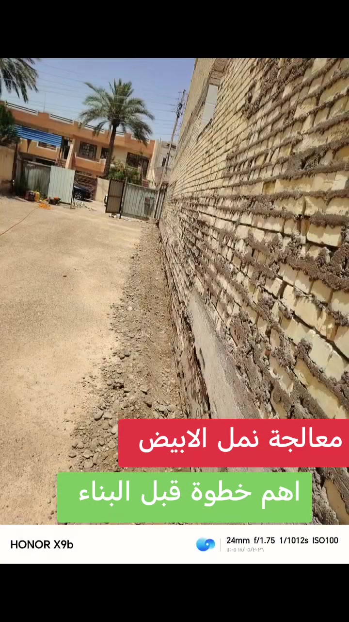 مرحباً! احذر من حشرة الأرضة؛ فهي تتغذى على السليلوز الموجود في الخشب والأثاث. اكتشف معنا علامات وجودها وطرق القضاء عليها بفعالية."الإتصال بنا #***********
