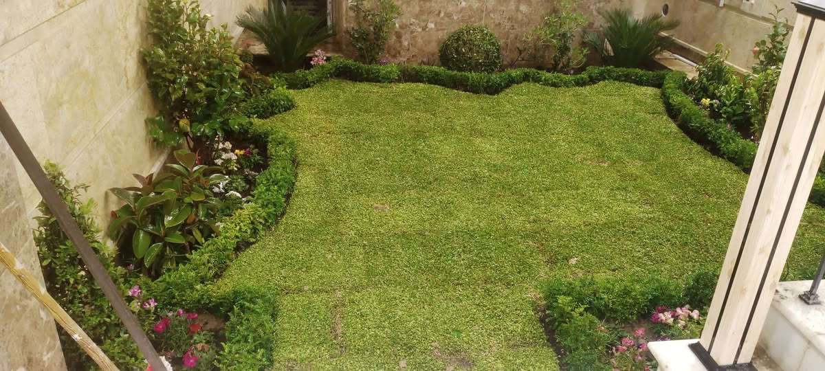 سلام عليكم هاذا شغلي حدايق ومكافحة حشرة الارضيه وامضومات الري الذكيه


**إذا كنت صاحب هذا الإعلان وتريد حذفه لأي سبب، رجاءا أرسل رسالة إلى الدعم الفني**