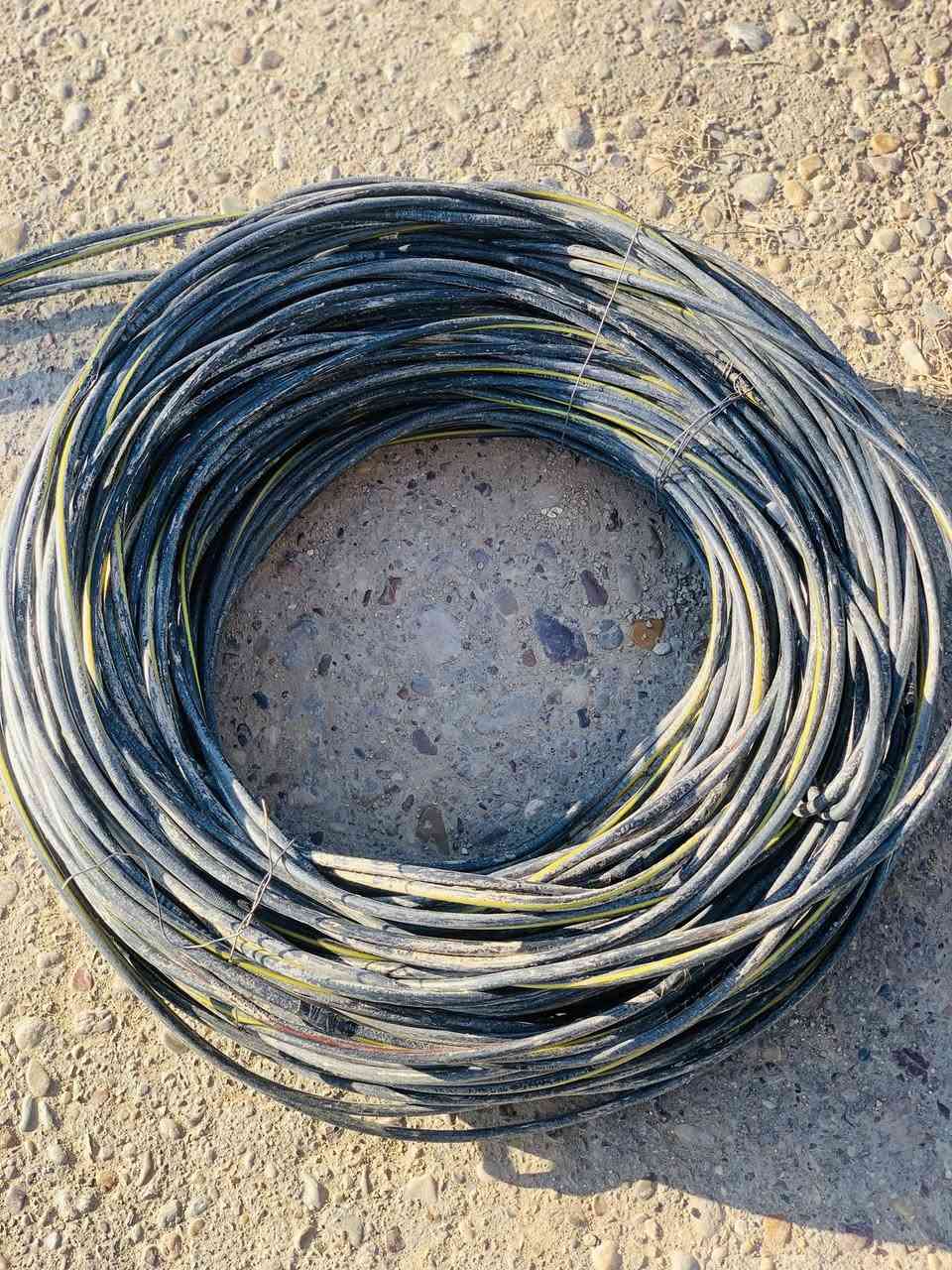 ضفيره ام 16 للبيع  2 خط تركي 

العنوان بغداد ابو غريب 

لاتصال والاستفسار ع رقم الهاتف ***********
