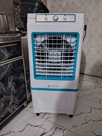 كونفيره • جديدة • استعمال يوم واحد