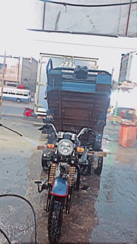 ستوته • أوراق كاملة • مديل ٢٠٢٠