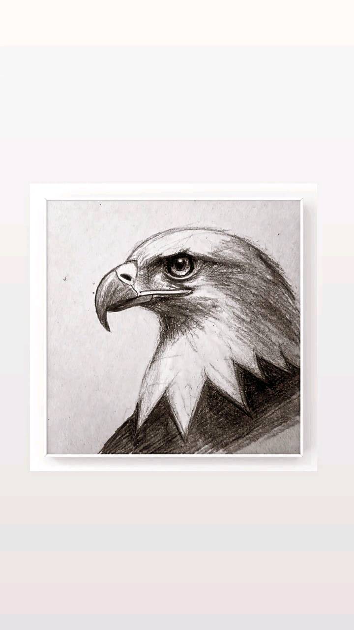 لوحات فنية يدوية تجمع بين الرسم الدقيق والخط العربي بأسلوب معبّر وجذاب. مثالية لتزيين المنزل أو المكتب، وتضيف لمسة فنية وأصالة إلى أي مكان تُعرض فيه.