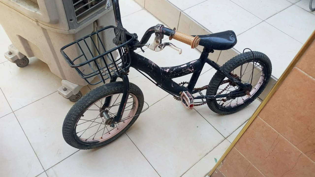 الليزر 50 استعمال قليل والبايسكل 15الزنجيل فالت المكان كراره


**إذا كنت صاحب هذا الإعلان وتريد حذفه لأي سبب، رجاءا أرسل رسالة إلى الدعم الفني**