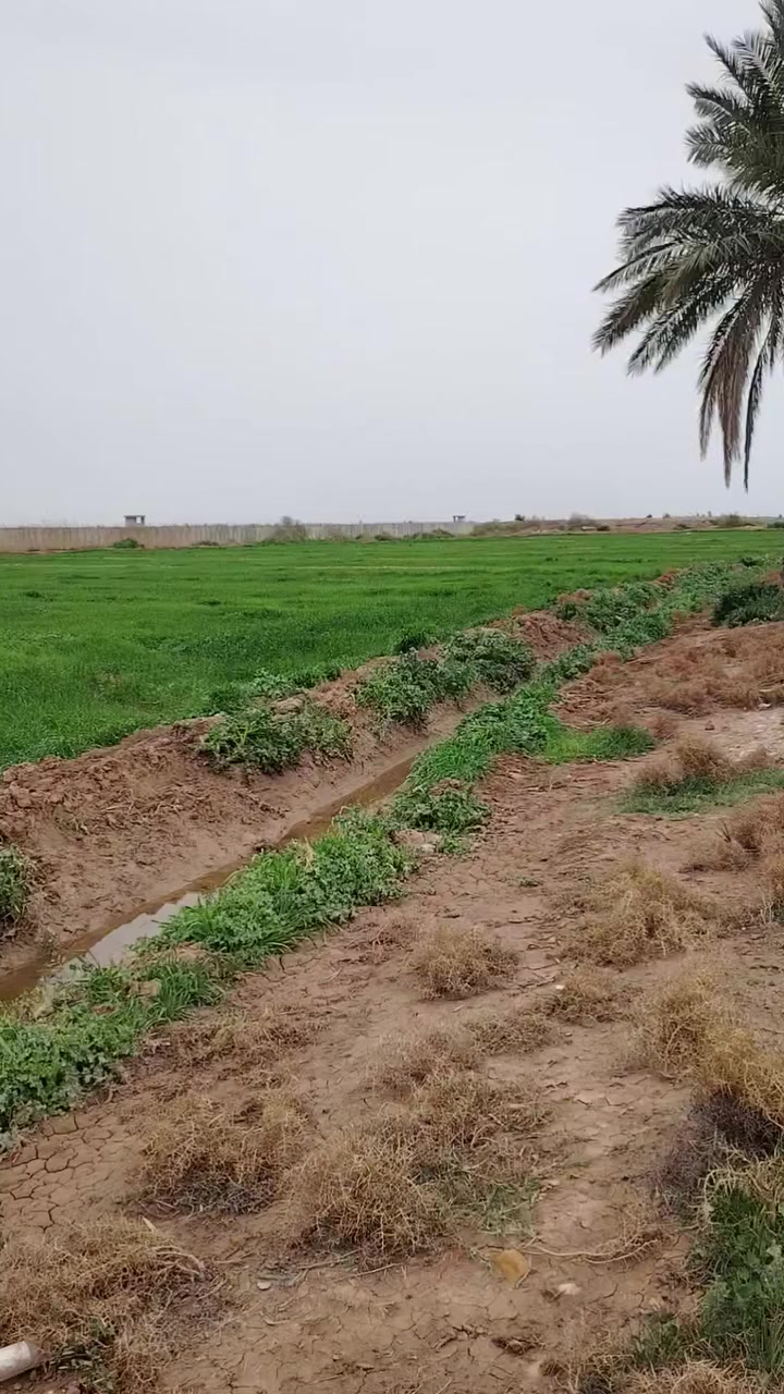 بسم الله الرحمن الرحيم      عرض كاع ١١٧ دونم  عقد  ٢٠٢٤ ماء اساله  سكي   طريق بغداد كوت مقابيل صيطره الج يوجد خدمات تبليط مدرسه  مستوصف*********** 🛣️***********
