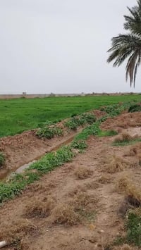 ١١٧ دونم • عقد ٢٠٢٤ • طريق بغداد كوت