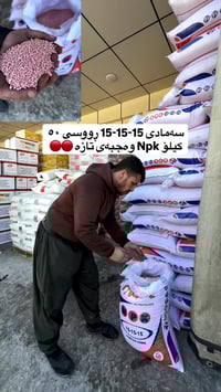 وصل جديد • ديكور منزل