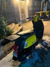 سكنس فحل • عدلة • قجمة