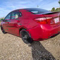 كورلا • ٢٠١٩ • رقم اربيل