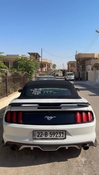ايكو بوست • شيلبي • ٢٠١٧
