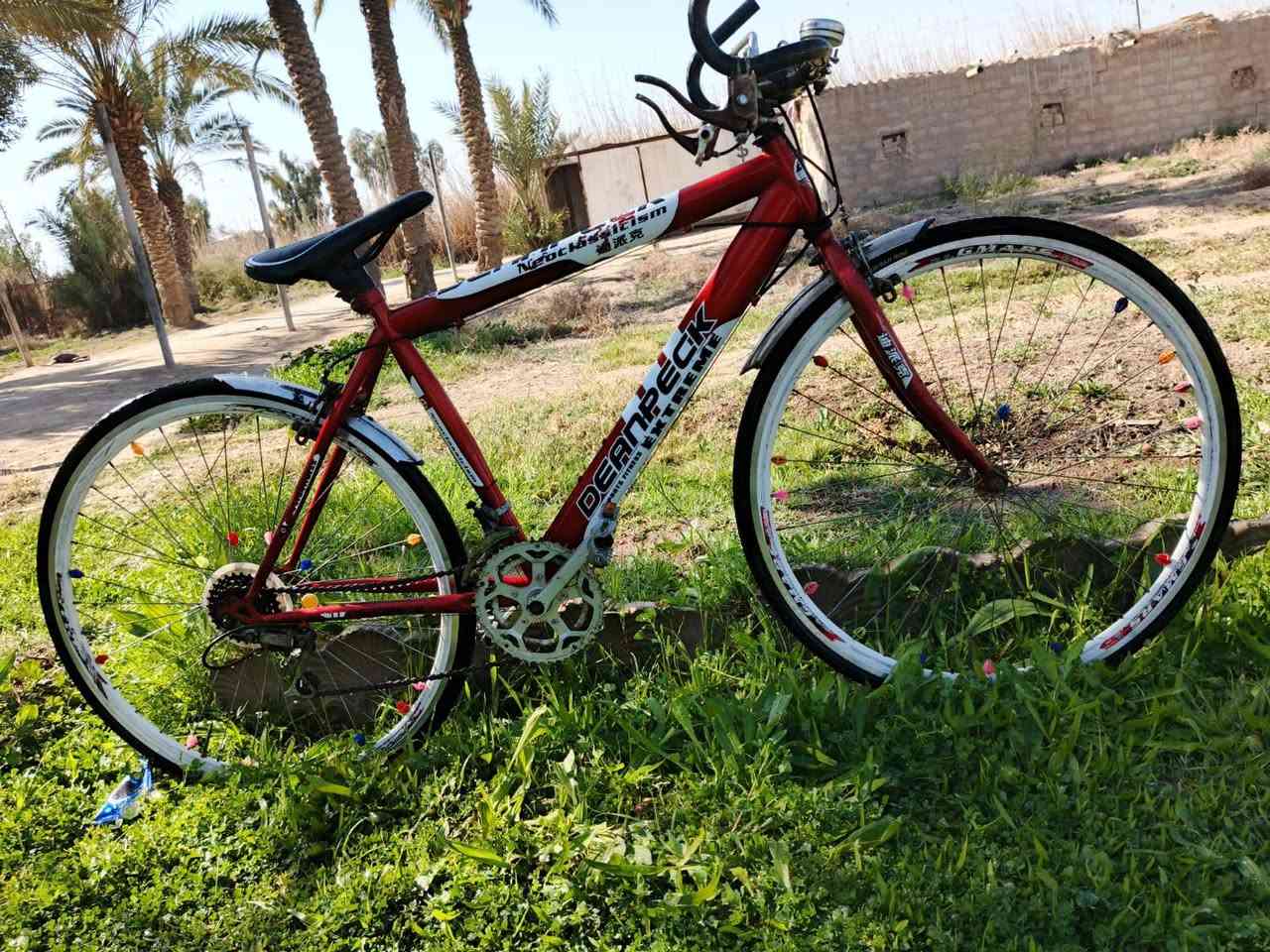 🚴‍♂️ للبيع بيسكل نوع Diamondback 🚴‍♂️

• النوع: Diamondback ابو العقرب
• اللون: احمر
• الحالة: يحتاج ركعة لتاير الورة لأن ياخذله يوم ويفش التاير
• السعر:85 ألف دينار وبي مجال بسيط للجادين
• المكان: الوسفية القصر 

📞 للاستفسار الاتصال على الرقم: ***********

🌿 اللي مهتم يراسل خاص أو يتصل مباشر
