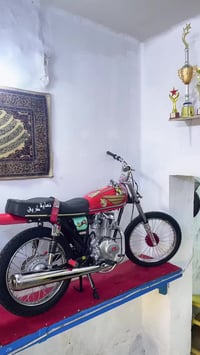 رابيدو • شاصي إيراني اصلي • عمرته ٥ايام