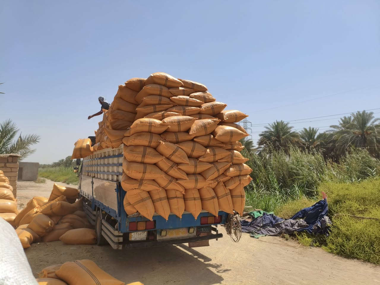 يا الله تبن عين تمر طول 90ولعرظ 70تبن درجه أولى واصل لباب البيت عنواني كربلاء عون شارع بغداد دخول كربلاء عمود 276وهاذى رقمي ***********
