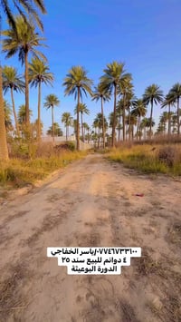 الدورة البوعيثة • ٤ دوانم • سند ٢٥