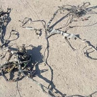 ضفيره براتون موديل 2004 كامله عده قاعده فيوزات امامي  سعر  250 0773117...