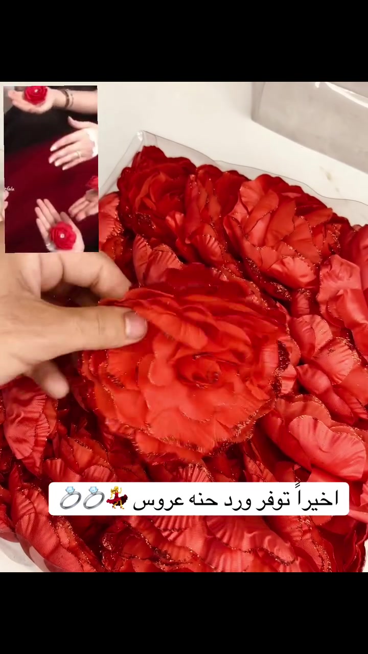 ورد حنه عروس 💍👰‍♀️💃 واخيراً توفر عدنه عنوانه ابو غريب الحصوه داخل سوك محل حلويات ومعجنات أبو سيف 🤗🩵#ابوغريب #الحصوه #مالي_خلق_احط_هاشتاقات #متابعه #الشعب_الصيني_ماله_حل😂😂


**إذا كنت صاحب هذا الإعلان وتريد حذفه لأي سبب، رجاءا أرسل رسالة إلى الدعم الفني**