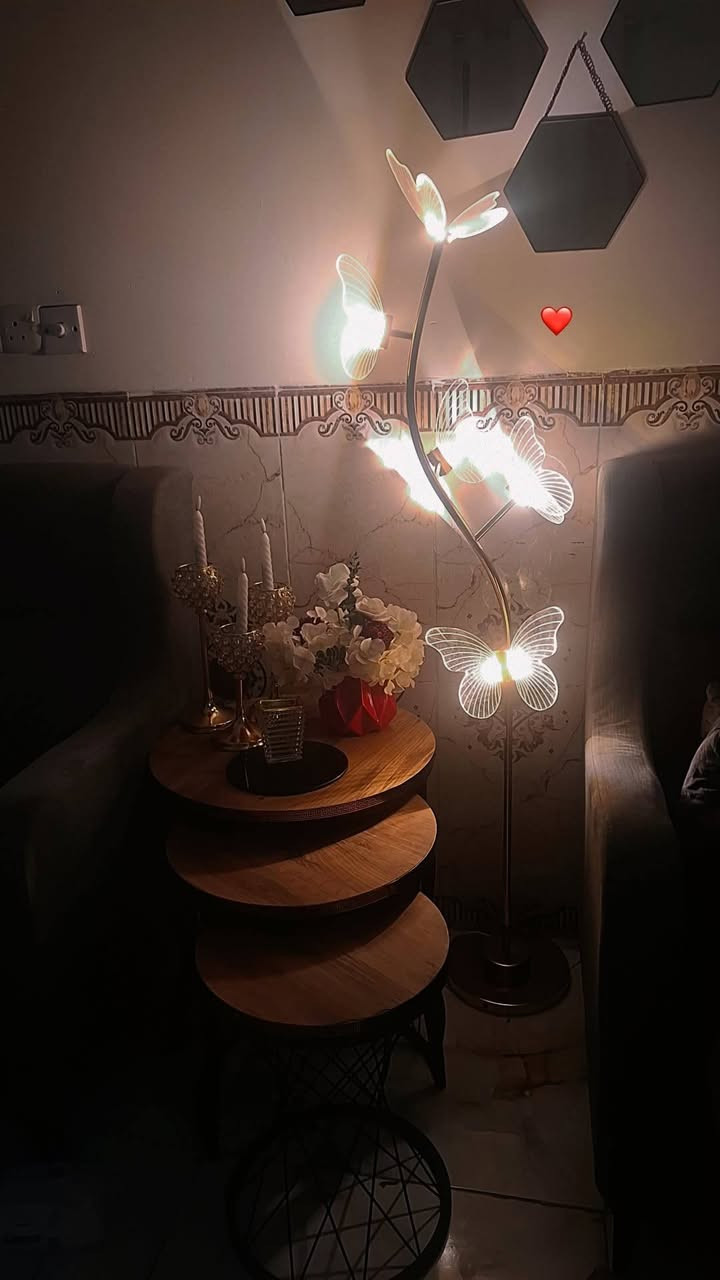 تيبلام فراشه للبيع


**إذا كنت صاحب هذا الإعلان وتريد حذفه لأي سبب، رجاءا أرسل رسالة إلى الدعم الفني**